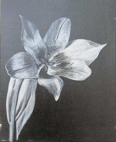 fleur noir et blanc